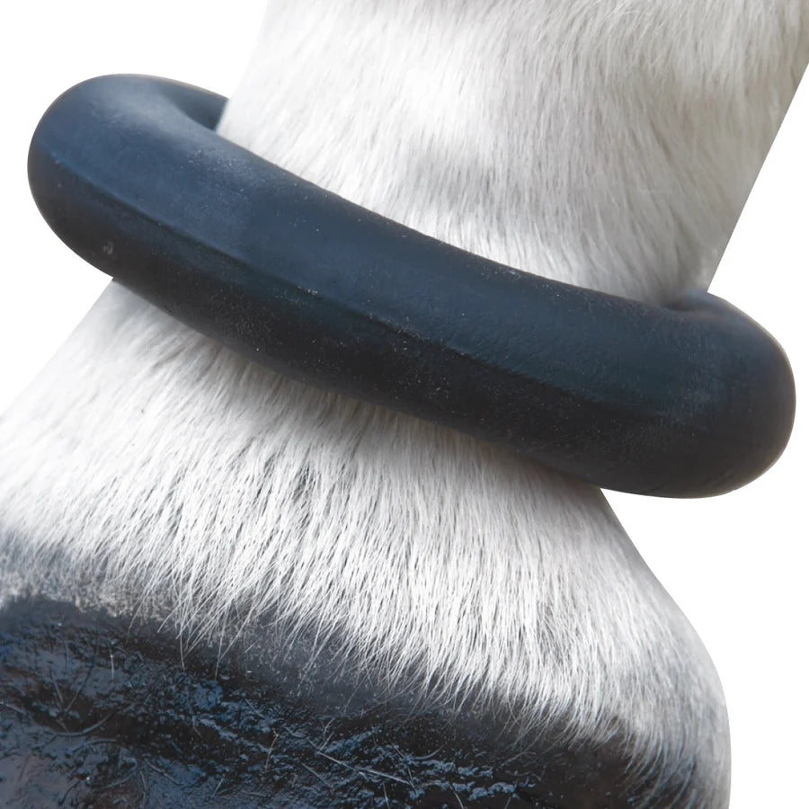 Fetlock Ring