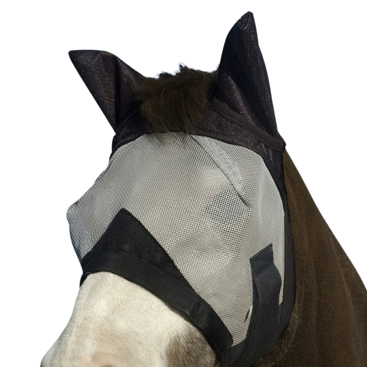 Fly Mask With Ears