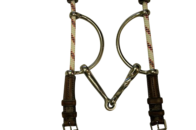 Half Moon Balding Gag With One Sided Twist