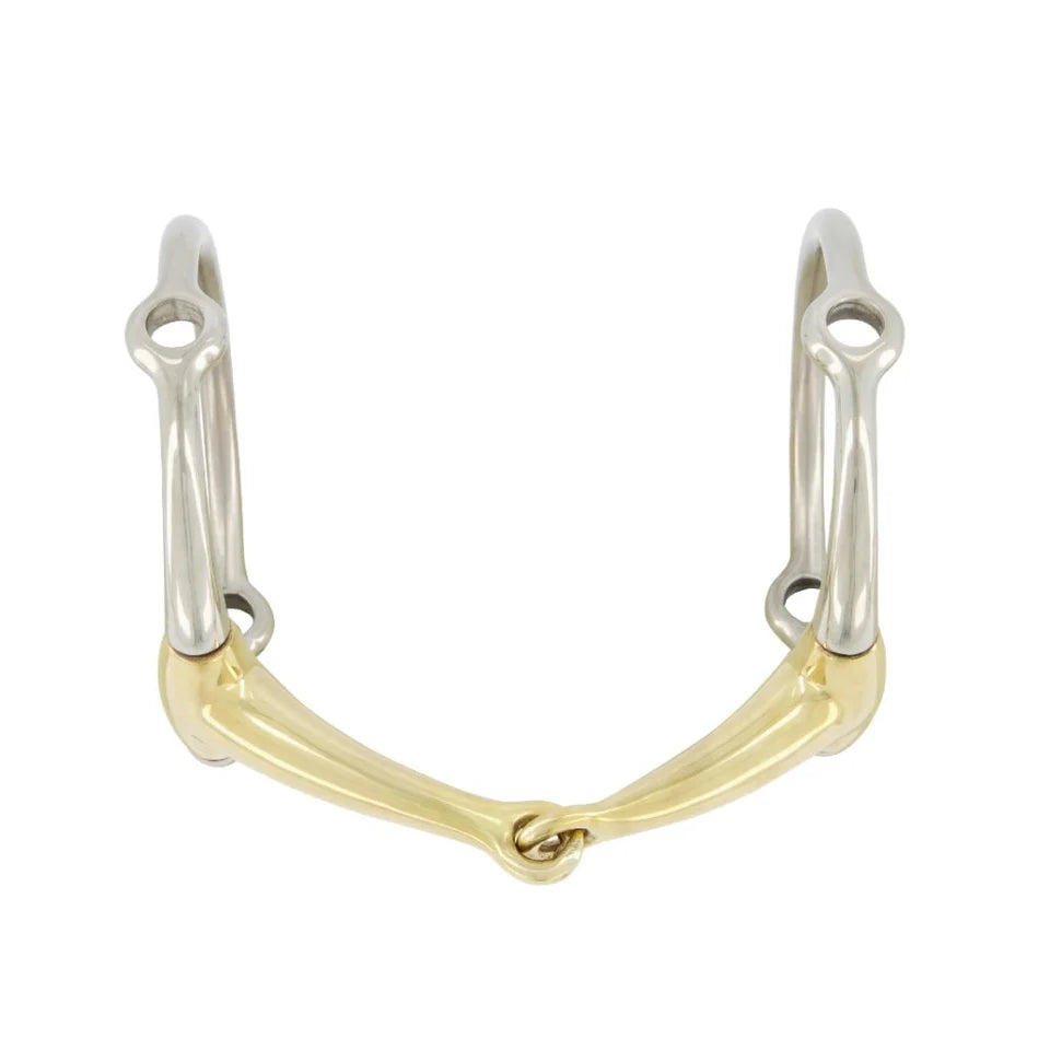 RA Big Ring Fixed Gag (Eggbutt)