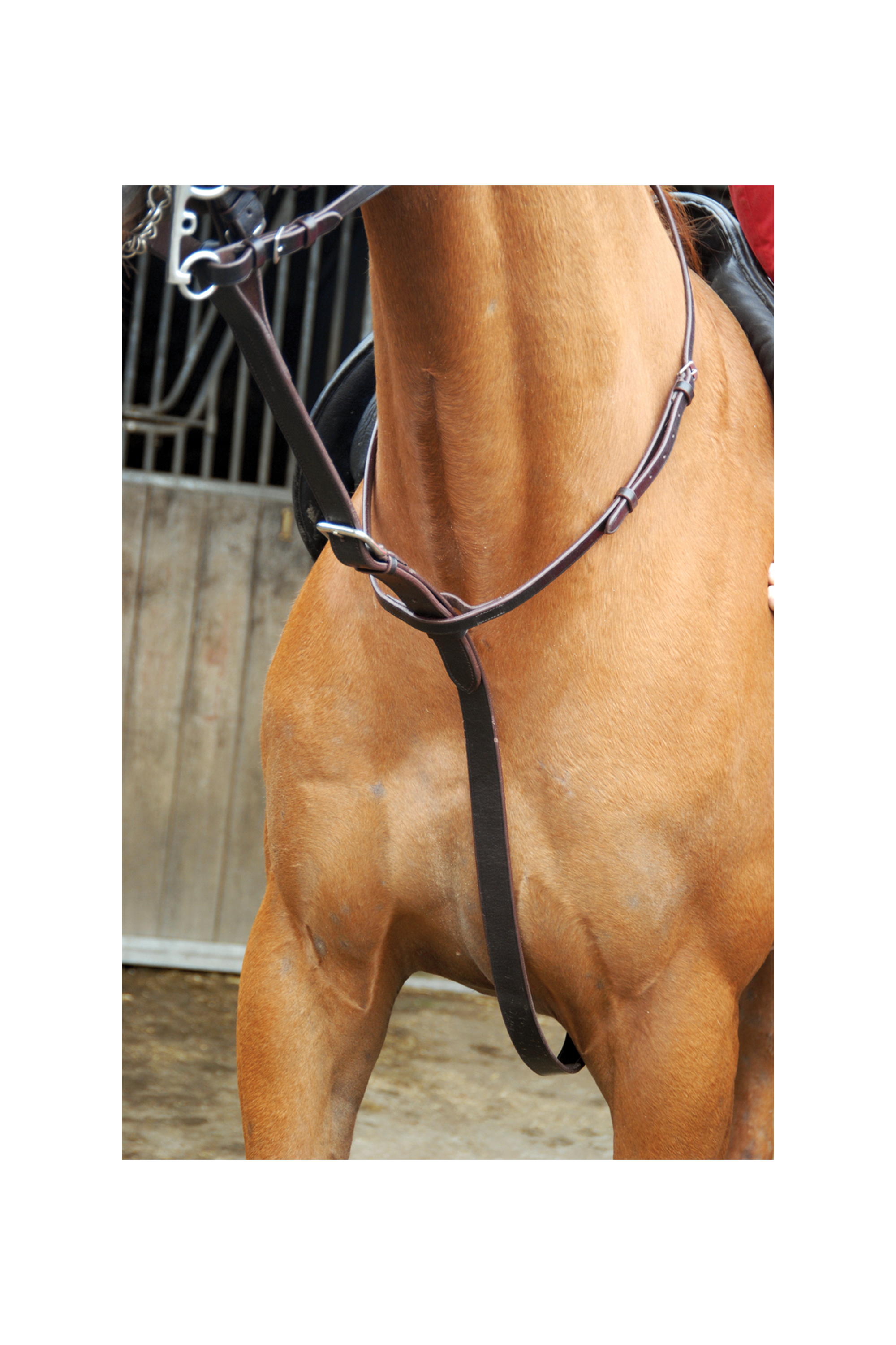 Chukka Leather Martingale