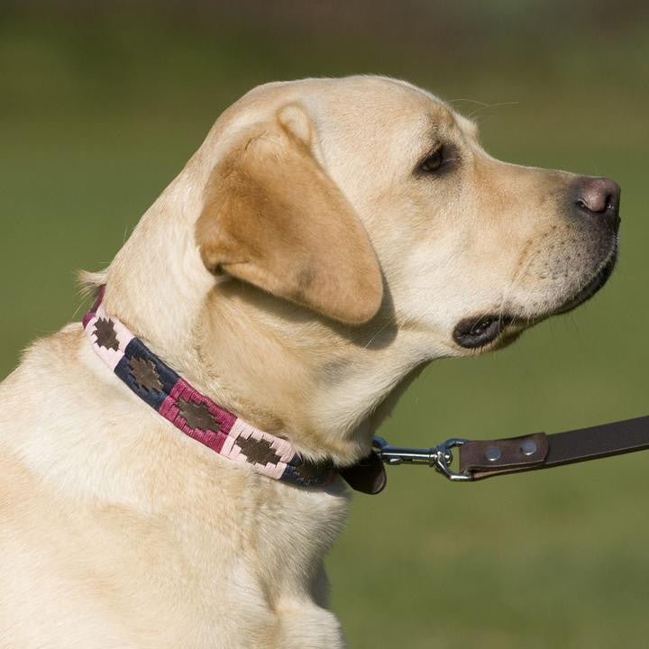 Collar para perro azul marino, rosa y baya (talla pequeña solamente, de 12 a 15 pulgadas)