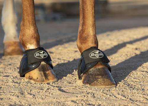 Professional Choice Spartan Bell Boot