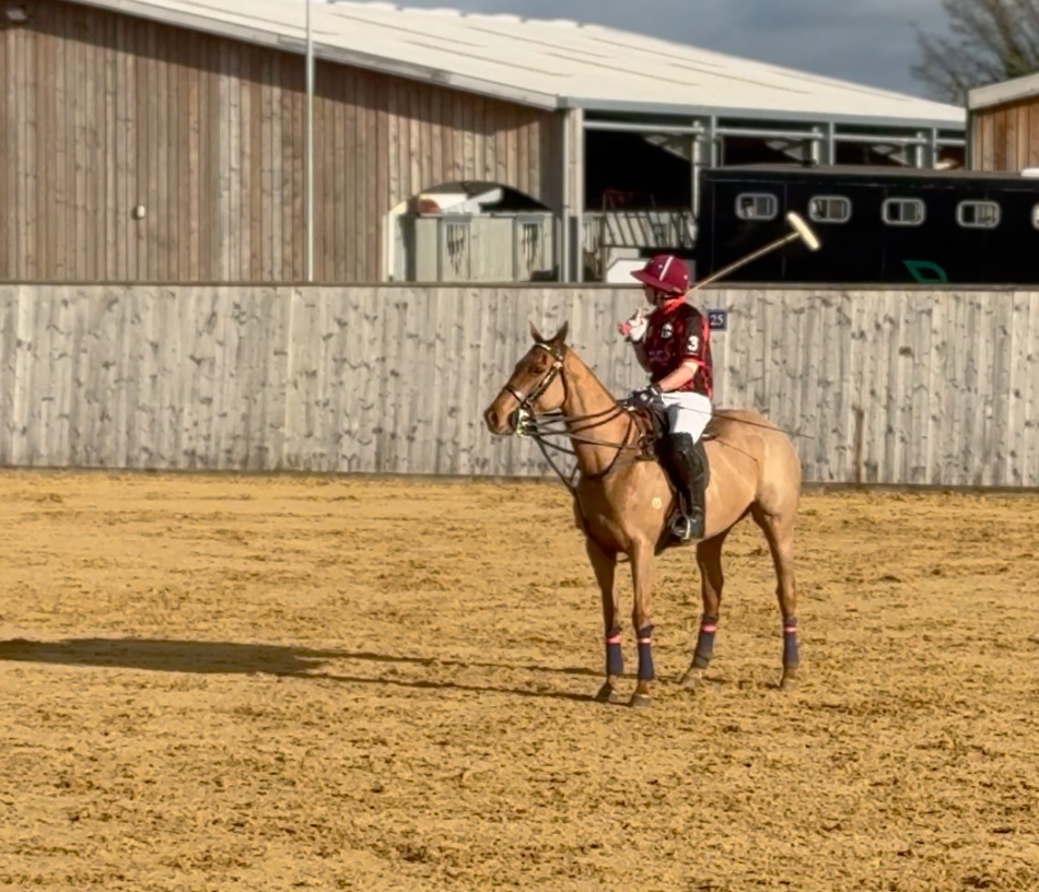 It’s Arena Polo Season… Have You Got the Right Equipment?