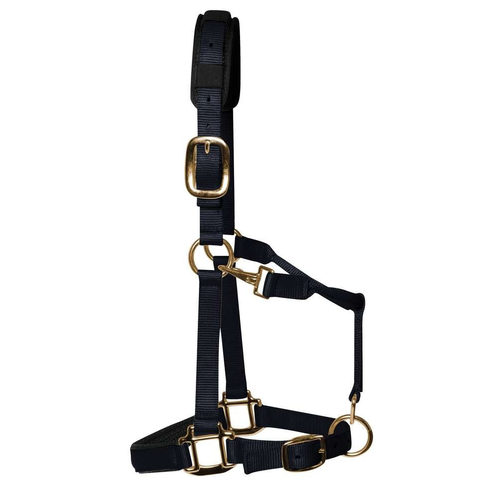 KM Elite Horse Halters