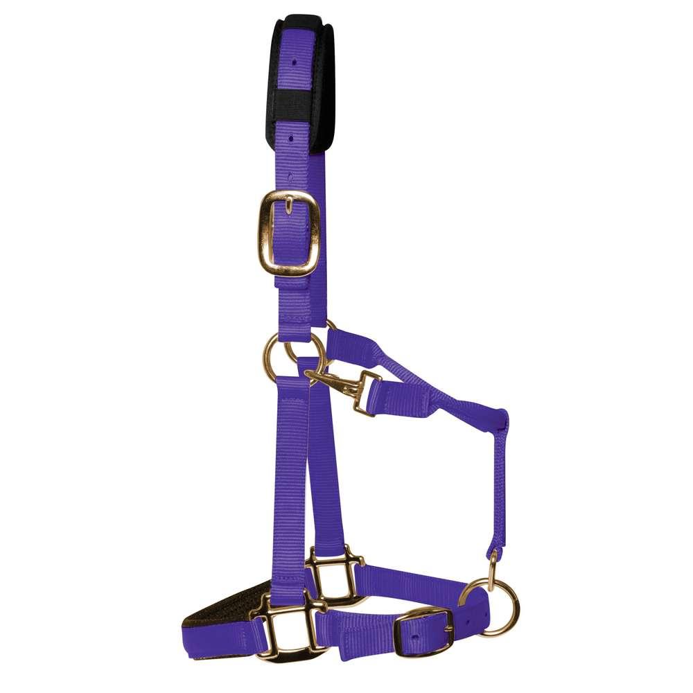 KM Elite Horse Halters