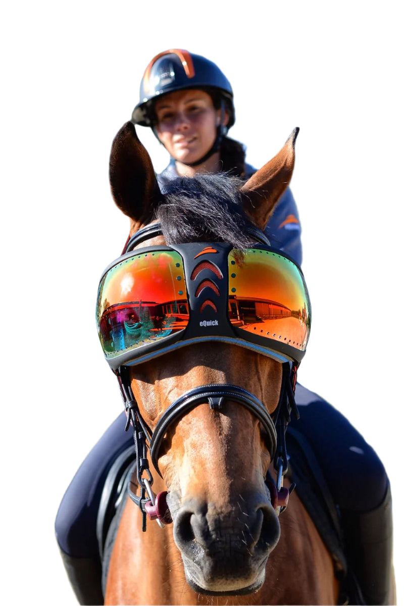 horse goggles eVysor Protective Color:Shiny Black / Aurora magnetron adjustable straps ensure that Luma Kabelschloss, Silber |