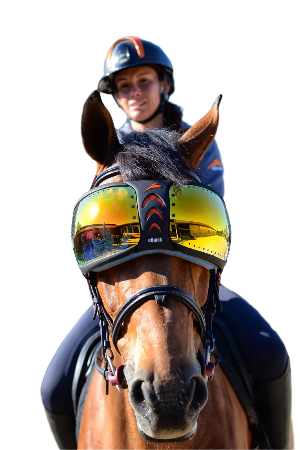 eVysor Protective Horse Goggles