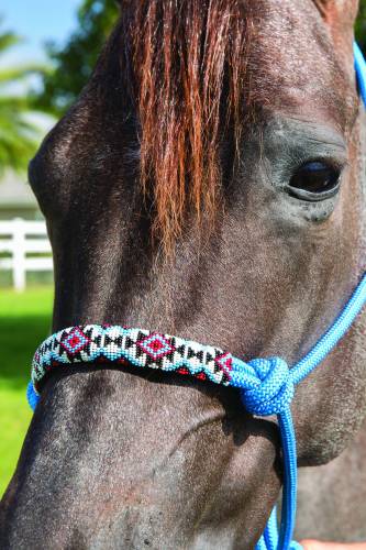 Professional Choice Beaded Halter