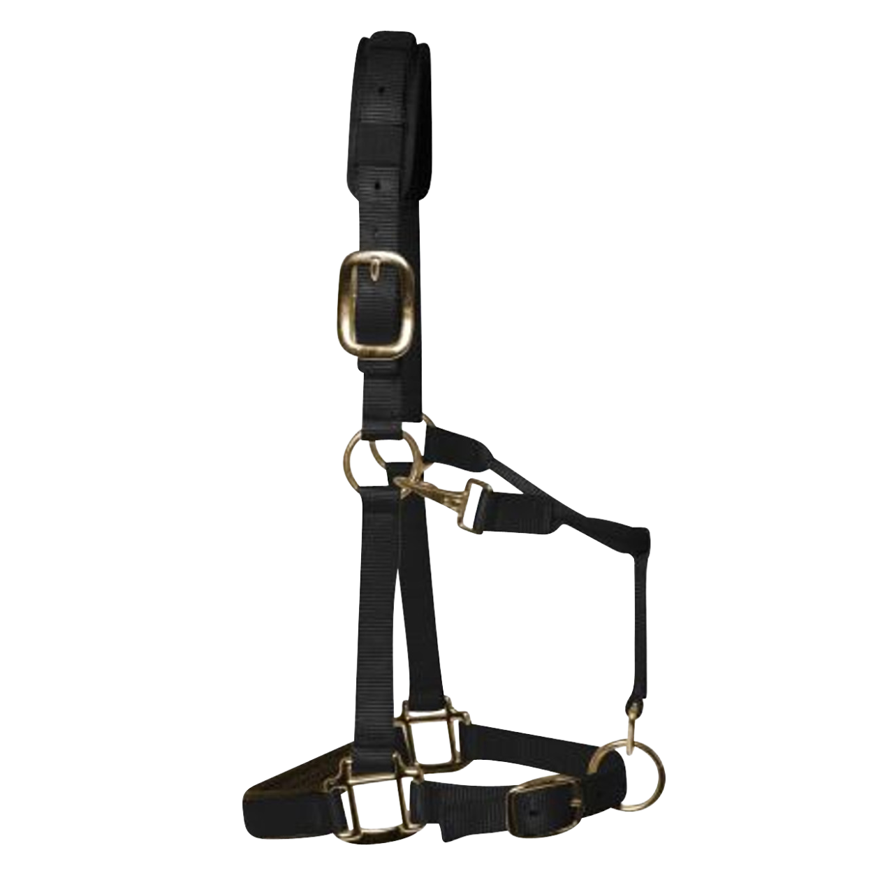 KM Elite Horse Halters