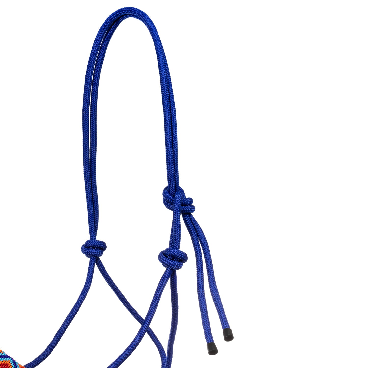 Rope Halter With Lead