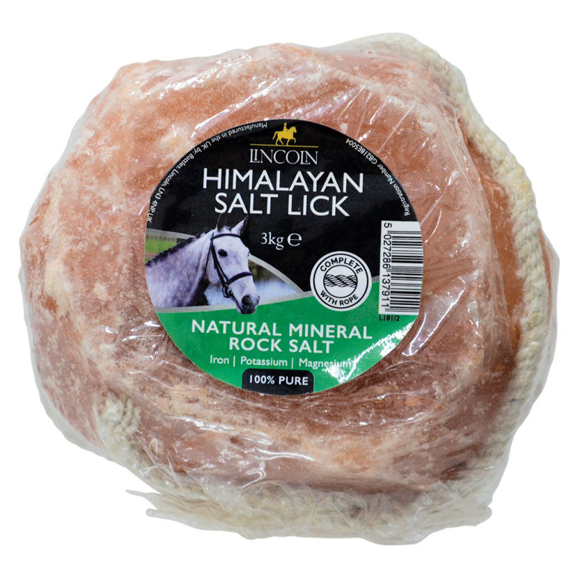 Himalayan Salt Lick