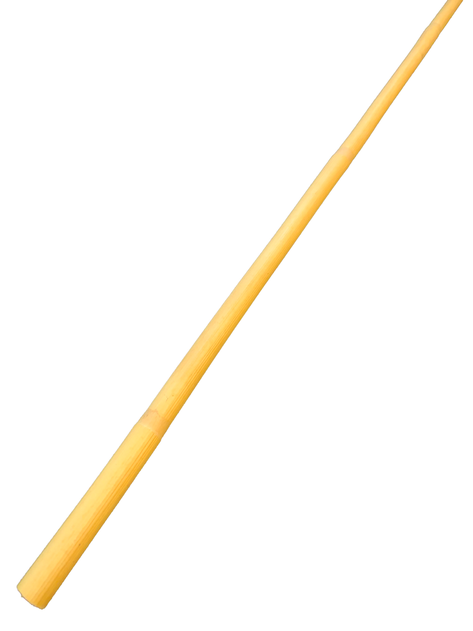 Splice Cane 30" long